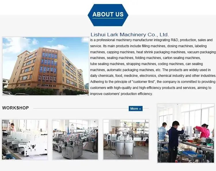 LT-200 Manual Tray Sealing Machine